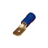 COSSE MALE BLEU