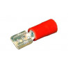 COSSE FEMELLE ROUGE