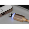CORDON POUR APPLE LED 1M
