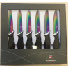 COFFRET 6 COUTEAUX TITANIUM